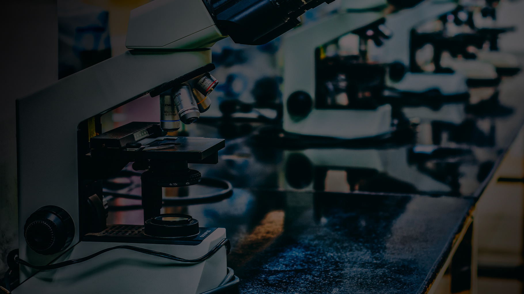 Analisi dettagliata dell'opera