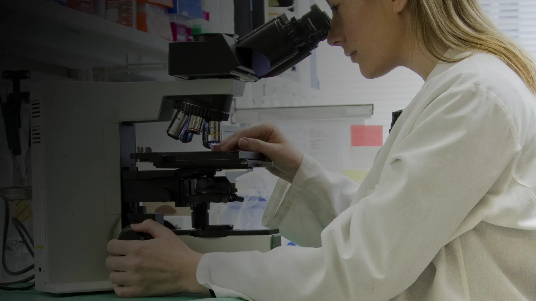 Consulenza scientifica