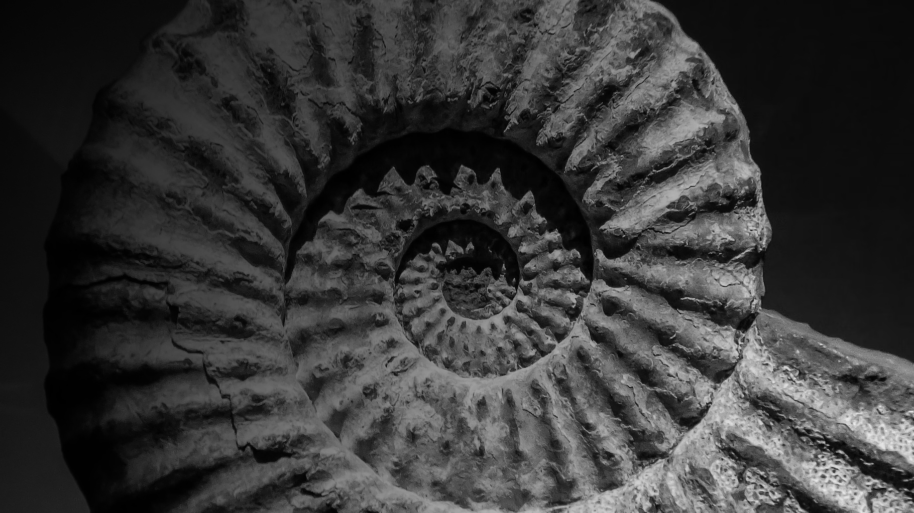 Datazione al carbonio per opere d'arte