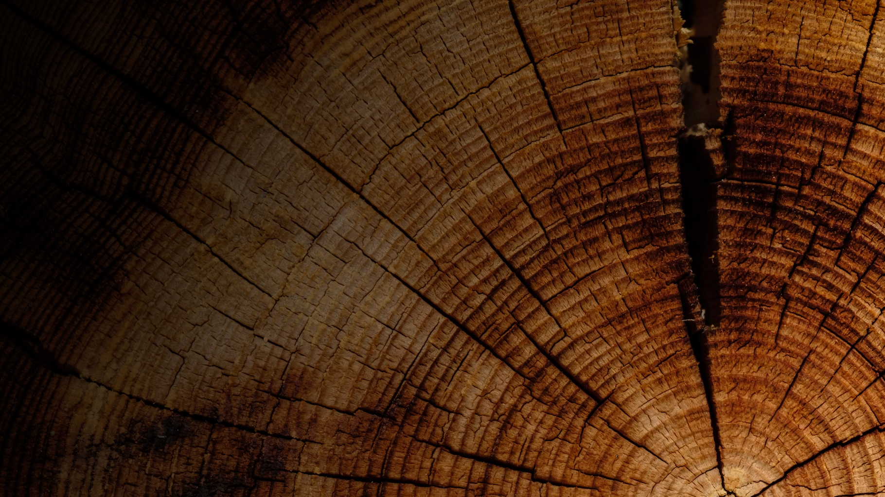 Datazione accurata e precisa